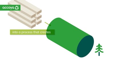 Accoya, product branding and digital experience. - Branding & Positioning
