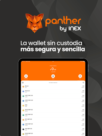 Finance app development - Software Entwicklung