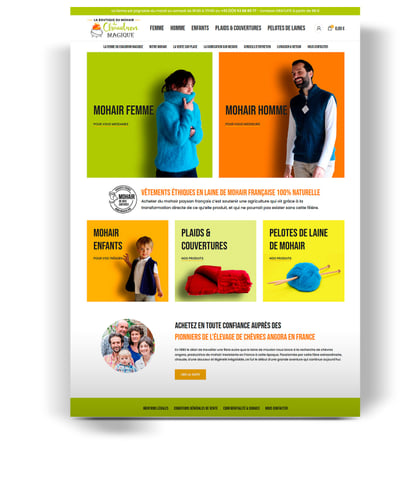 Boutique en ligne - Website Creation