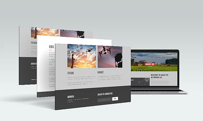 EAGLE EYE AG DRONES - Création de site internet