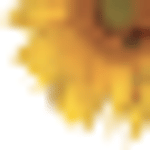 MotivAction (MTravel-Solutions Ltd) logo