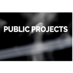 Public Projects logo