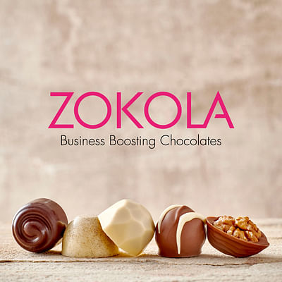 De Hemelse Smaak van Zokola op Hun Nieuwe Website - Website Creation