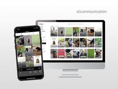 Brand Awareness auf TikTok - Social Media