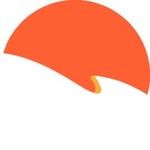 Chamaeleon Digital Vision GmbH
