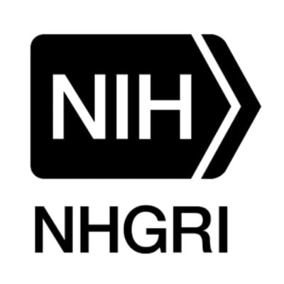 Niemczyk Hoffmann Group, Inc.
