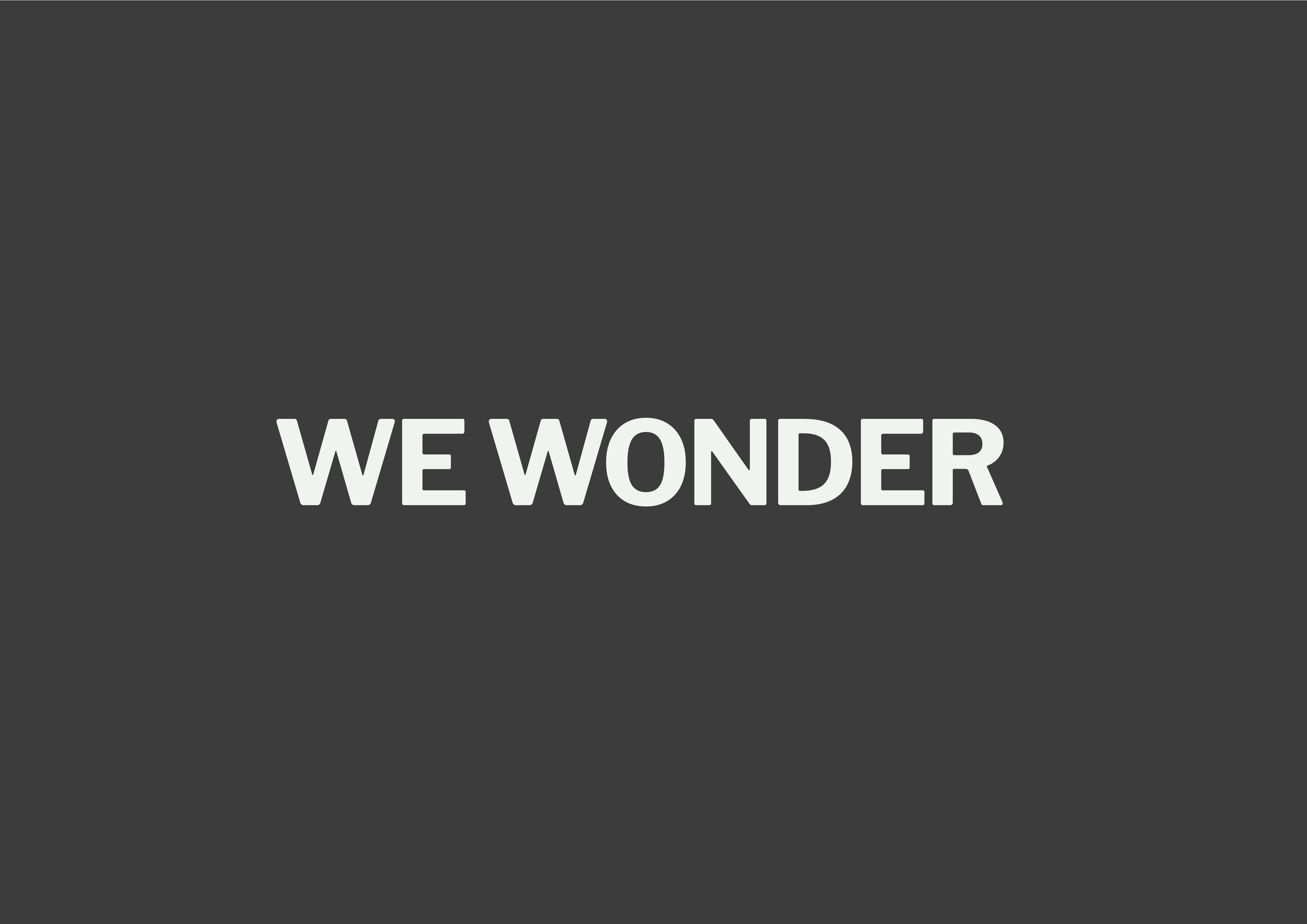 We Wonder Studio