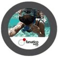 FanaticoWeb Solutions Srl logo