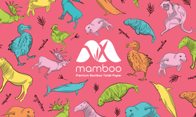 Bamboo Fun - Design & graphisme