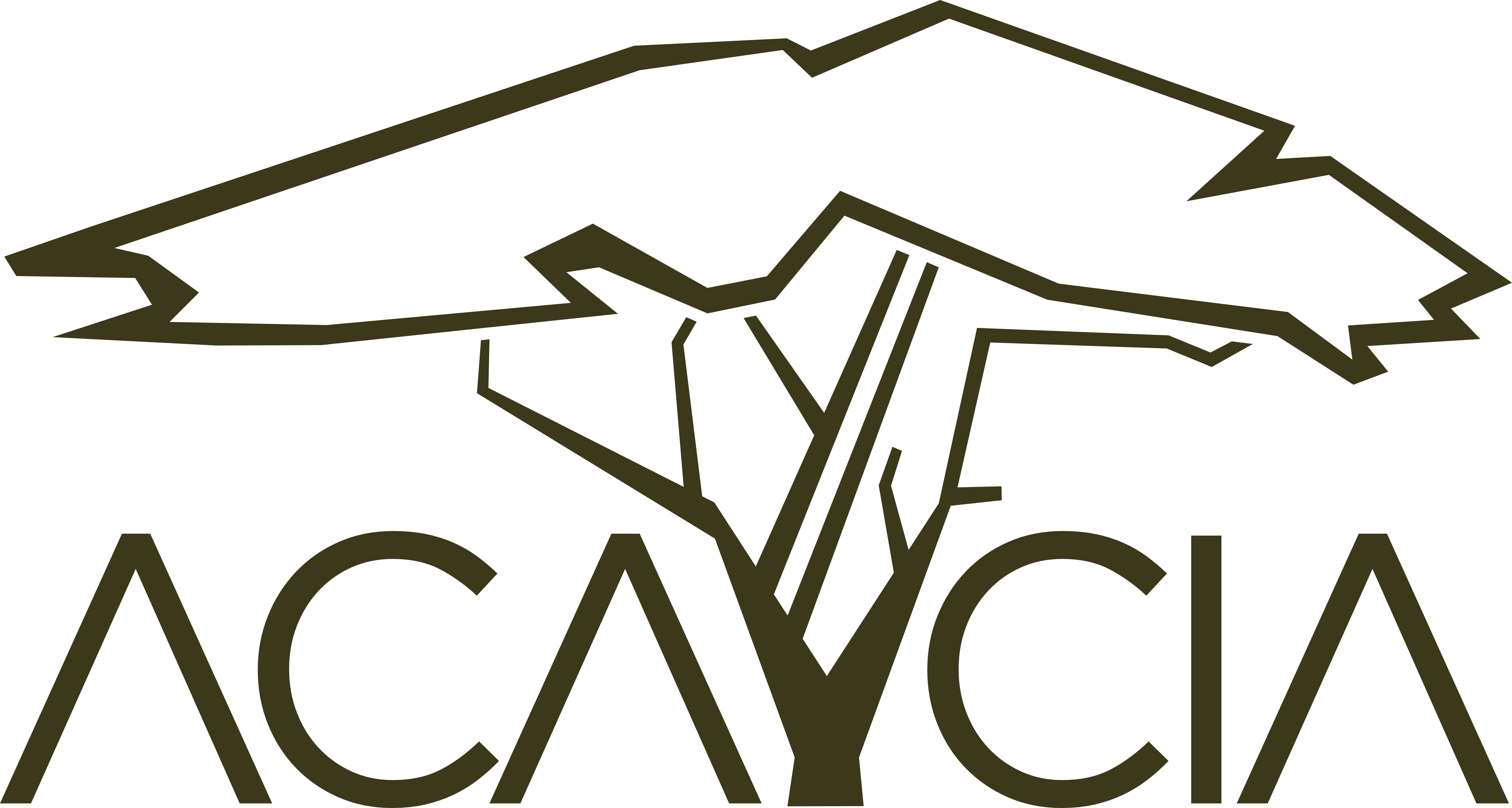 Acaycia Digital Agency