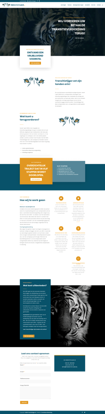 Transitietijger.nl - Branding & Positionering