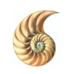 Overbury logo