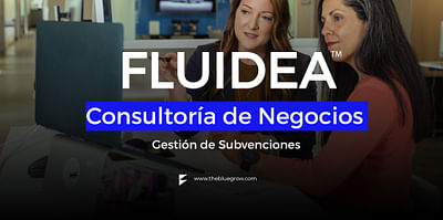 Fluidea - Consultoria de negocios y Diseño Web