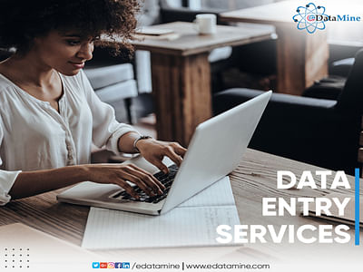 Data Entry Services - Web analytique/Big data