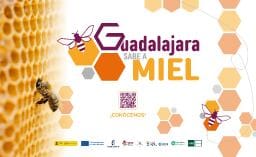 Guadalajara sabe a Miel - Branding & Positioning