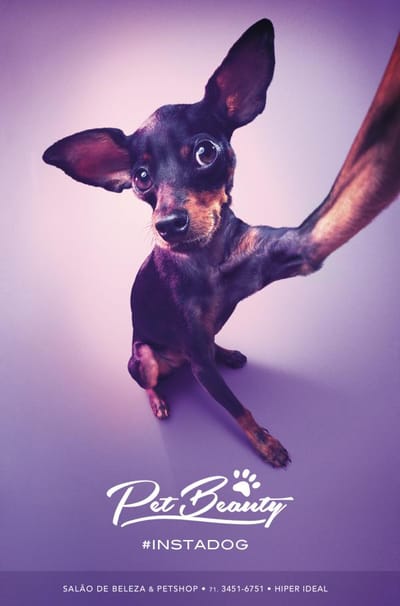 #instadog - Werbung