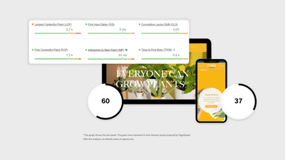 Costa Farms goes from B2B to B2C - Estrategia digital