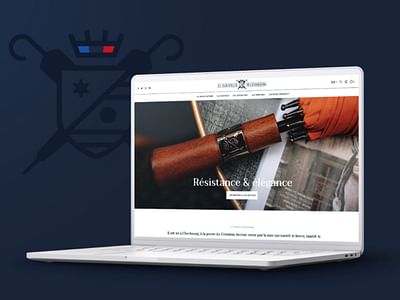 Le parapluie de Cherbourg - Website Creation