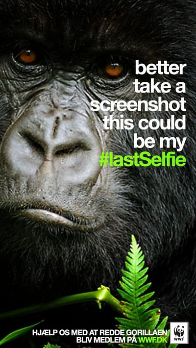 #LastSelfie, Gorilla - Onlinewerbung