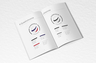 Identité et site internet - Le Pointeur - Création de site internet