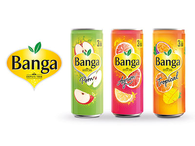 Création de l'identité visuelle Banga® - Branding & Positionering