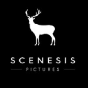 Scenesis