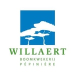 Willaert