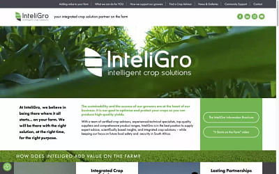 Web Design : inteligro.co.za - Creación de Sitios Web