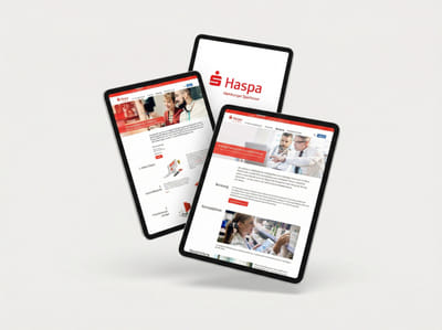 Datenbasierte B-to-B-Content-Strategie: Hamburger Sparkasse - Digital Strategy