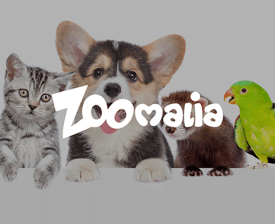 Stratégie webmarketing  | Zoomalia - Online Advertising