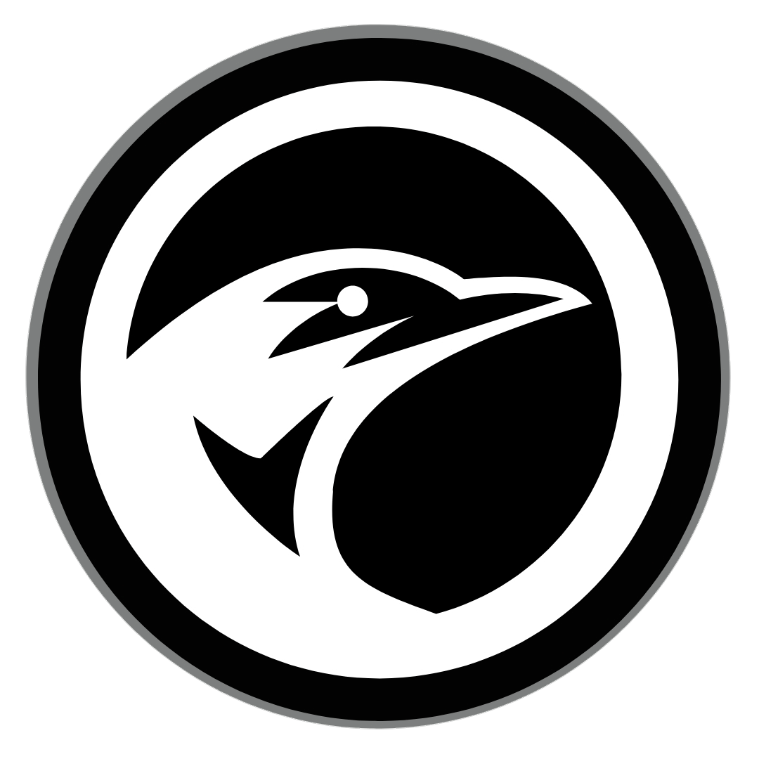 NightRaven Agency