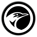 NightRaven Agency logo