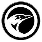 NightRaven Agency