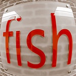 Fish Consulting LLC logo