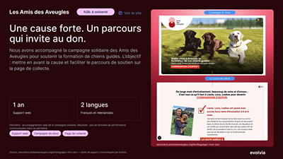 Support web d'un site multilingue de +100 pages - Website Creatie