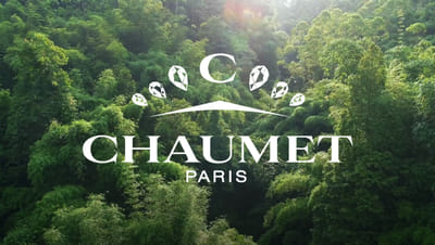 CHAUMET - BOTANICAL - Branding & Positioning