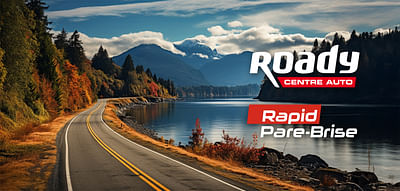 LES MOUSQUETAIRES (Roady & Rapid Pare Brise) - Strategia digitale