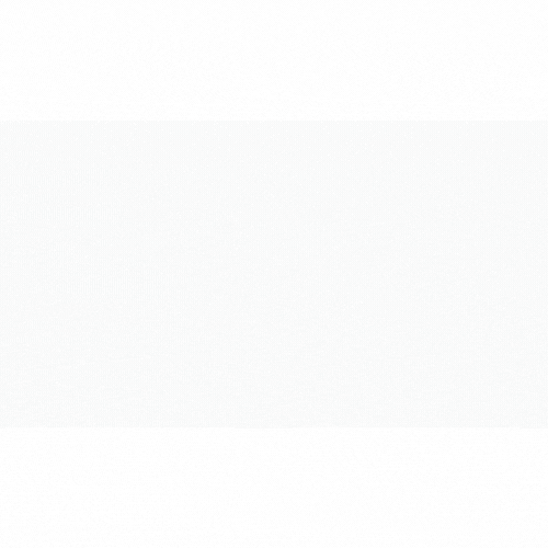 Extrovert Information Technology (EitBiz)