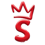 Seo Hero logo