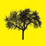 Ryan Cornelius Design