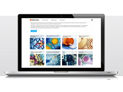 Content marketing delivers 300% increase in leads - Content-Strategie