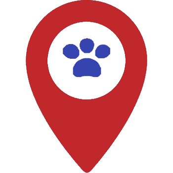 Josep Vallès - SEO para Veterinarios