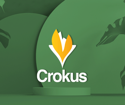 Crokus - E-commerce + Catalogue + Google Ads - E-Commerce