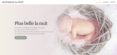 Plus belle la nuit - Création de site internet
