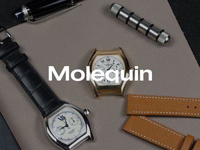 Molequin - Stratégie digitale