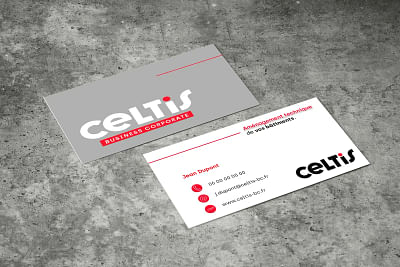 CELTIS Business Corporate - Branding & Positioning