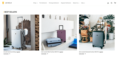 Clone Shopify webshop - Website Creatie