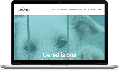 vzw fromStray2Pet - Website Creation