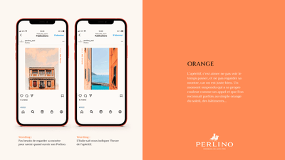 Perlino - Ligne éditoriale social media - Réseaux sociaux