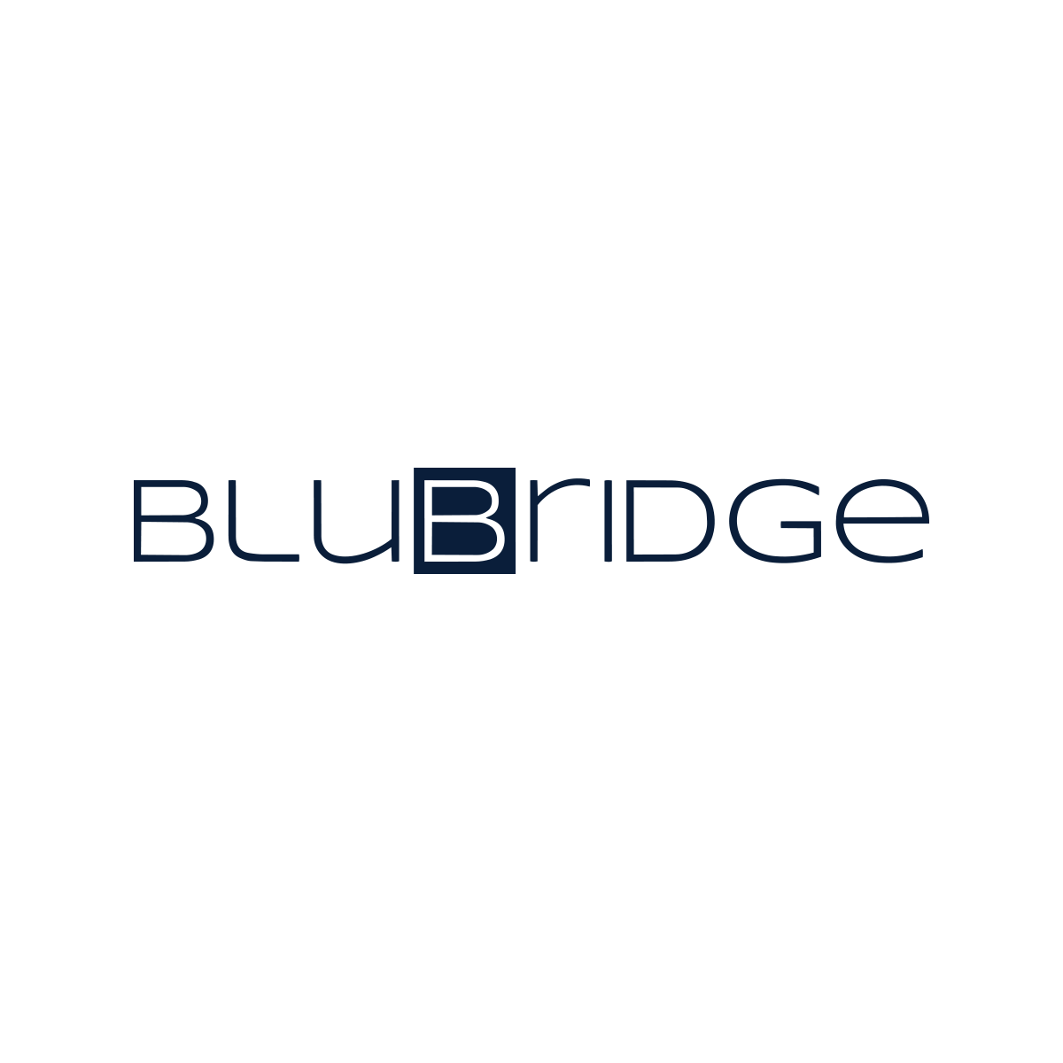 BluBridge Technologies